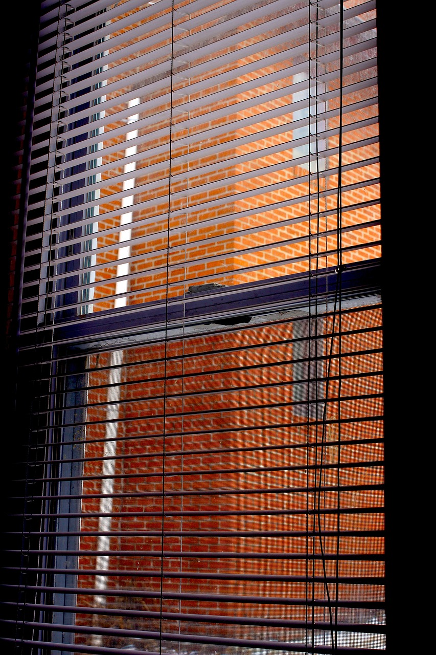 blinds, window, home-819219.jpg